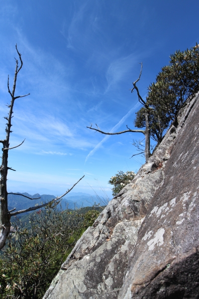 鳶嘴山，俯瞰西海岸，遠望玉山秀姑巒58068