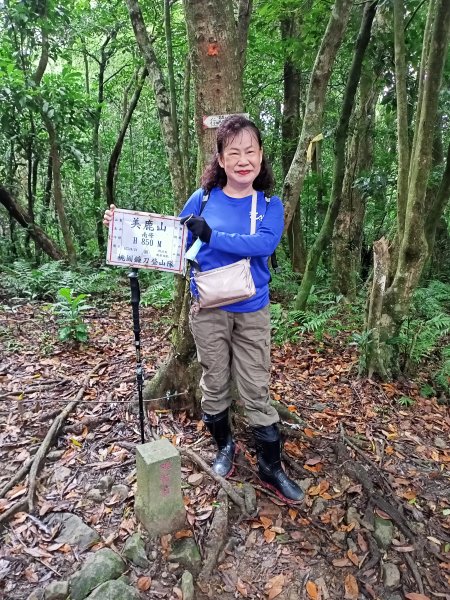 《迷霧森林的烏來美鹿山南峰→拔刀爾山→高腰山→美鹿山→美鹿山南峰》1471887