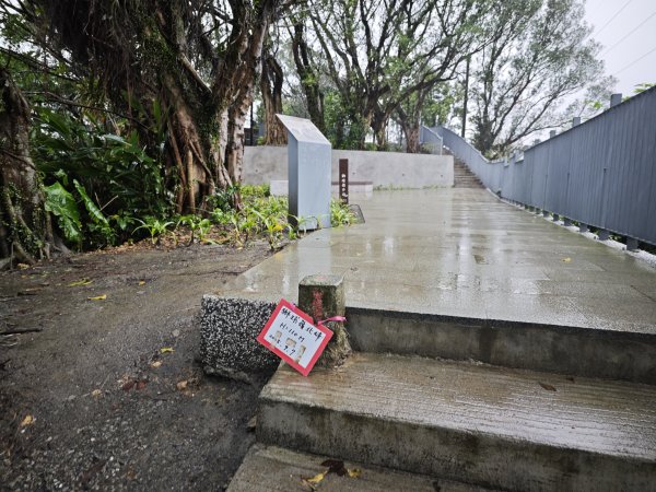 2026_0131 獅球嶺北峰2997784