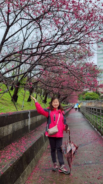 東湖樂活公園→內溝溪步道→五分埤生態濕地→內溝溪生態展示館、花博公園圓山園區→撫順公園3031608