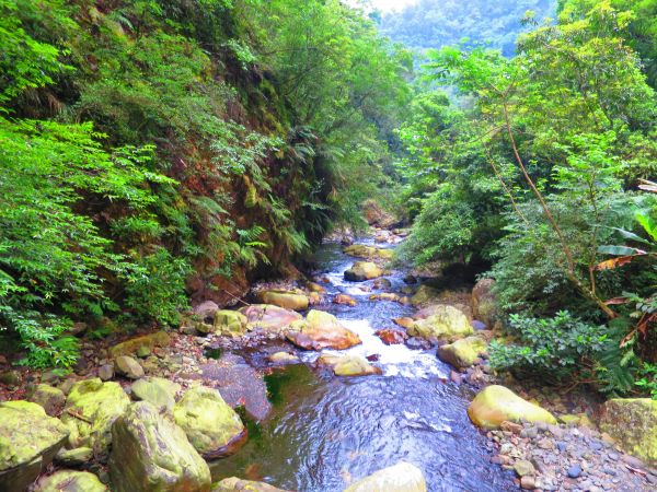 【宜蘭大同】清涼一夏：九寮溪自然步道392341