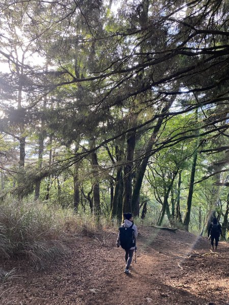 單攻屏風山111.2K最新登山口1411396