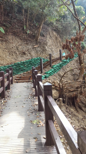 [台南.南化]龍麟山步道--登王爺崙山.賞龍麟奇岩92232