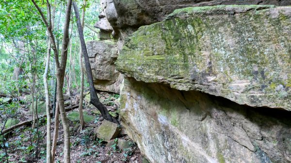 大邱田石門洞2856199