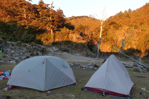 小關山林道上斯拉巴庫山1285123