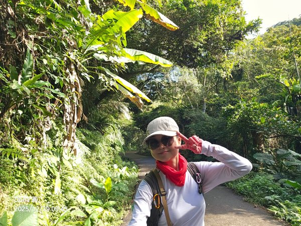 20251229石龜坑山上白石山下白石埤O走+阿姆坪2976648