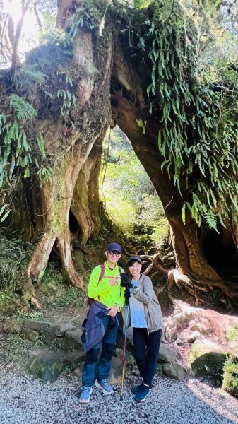 🌈10/11（日）消失的阿里山森林鐵路FB：熊熊趴爬走(富裕登山社)🌈3134729