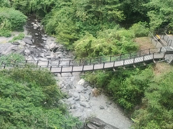1150728新寮瀑布步道3096886