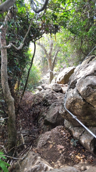 [台南.南化]龍麟山步道--登王爺崙山.賞龍麟奇岩92249