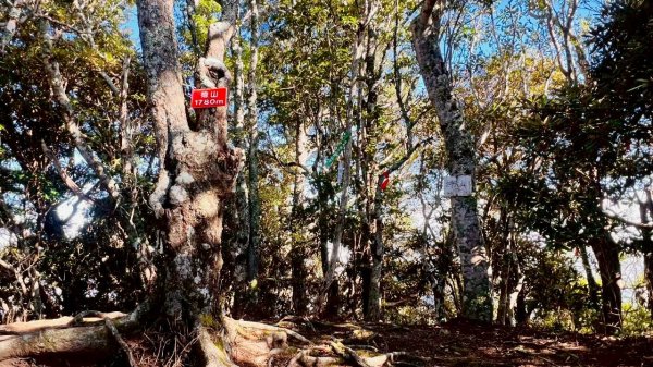 🌈9/7（日）夫拉縱走（夫婦山縱走拉拉山）✨FB：熊熊趴爬走🌈2880924