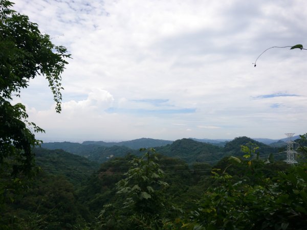 桐林花廊、北坑溪、樟樹林步道-奧山599595