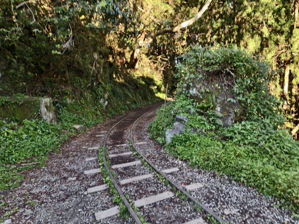 [百山百鳥尋旅-12/15] 2025_0928 特富野古道2899595