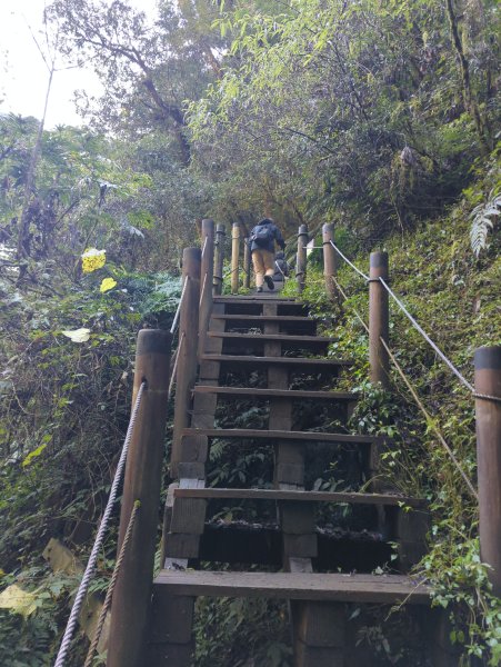 2026.01.03－鎮西堡B區神木群2981127