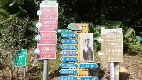 坪林區仁里坂山-火炎山未竟跟聯合艦隊除草去3125107