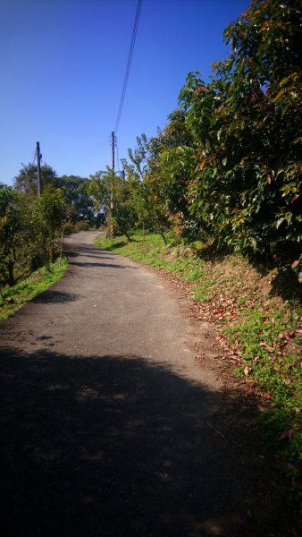 出關古道關刀山步道1584810