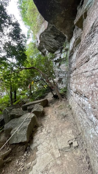 三峽-金敏子山-詩朗山-塞口坑山-內金敏子山四山O型2628681