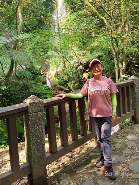 絹絲瀑布步道→冷擎步道→雞心崙→菁山吊橋→牛奶湖→冷水坑【走遍陽明山】2133247