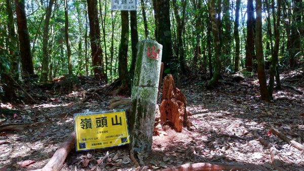 小百岳【金柑樹山】948919