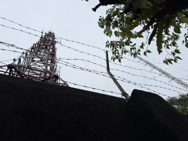 [微笑山線_第三段] 2026_0328 鳶山山系_福德坑山3025570