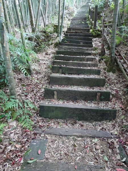 雲林古坑-嘉南雲峰及石壁山295476