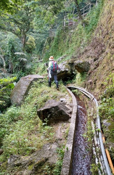 楓樹湖古道登面天北稜上面天山2782204