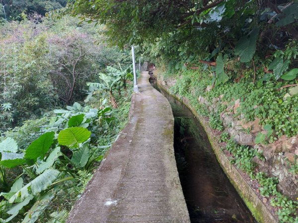 橫嶺古道-半嶺古道1582111