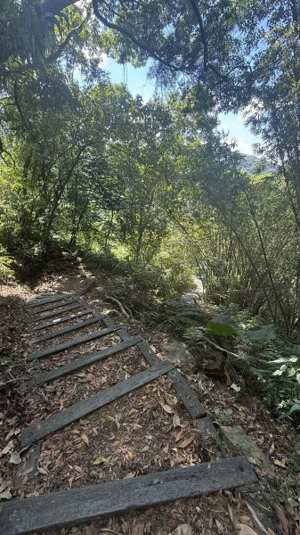 2025/10/15 台北大縱走第7段2916488