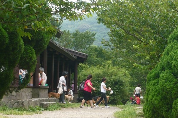 【公告】陽明山國家公園修正區域內禁止事項 保護野生動物生存權