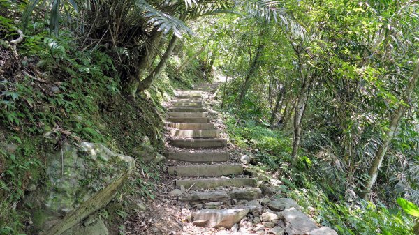 福山部落,內洞森遊區2552417