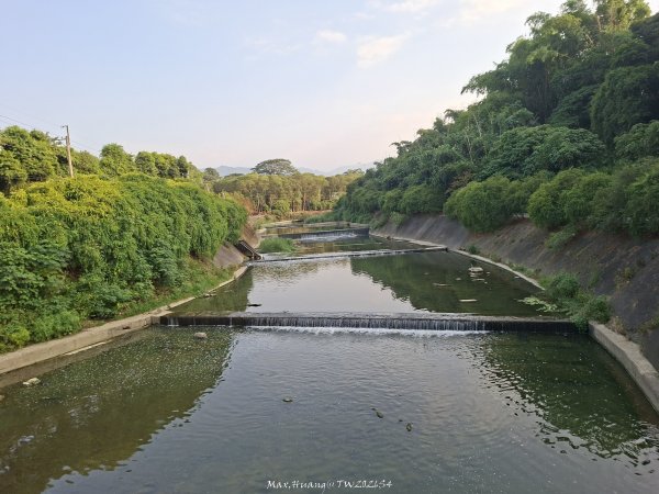 《南投》河岸賞鳥｜竹山下坪生態步道O繞202610173136793