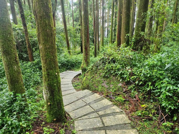 20250719頂湖上大凍山2907161