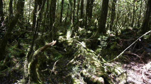 三星池登山健行趣1789860