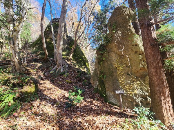 20251123秘境車站峠駅與垂水遺跡2957779
