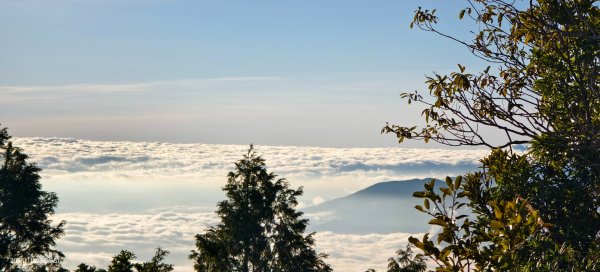 #太平山 #望洋山 #觀雲步道 #日出 #雲海 11/82931182