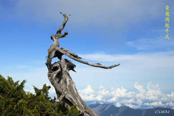 南一段大關山盡覽2541968