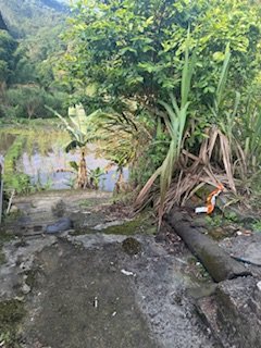 20250517 建安+鳥嘴+雙港子群峰 O型2788276