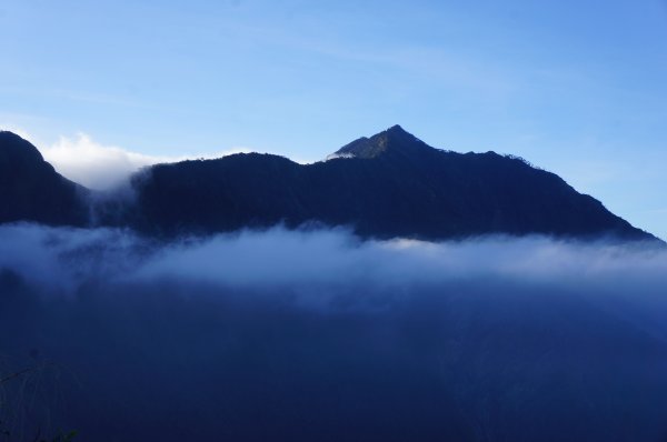 無與倫比的臺灣鐵杉與雲海～北大武山1125119