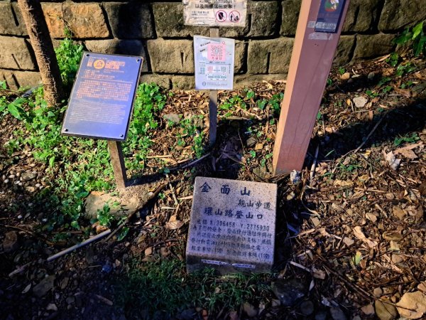 台北金面山親山步道3117293