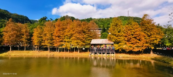 #花卉試驗中心 #永公路500巷 #平菁街42巷 #原住民公園 #士林官邸 1/42980362