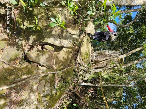 20251229石龜坑山上白石山下白石埤O走+阿姆坪2976672