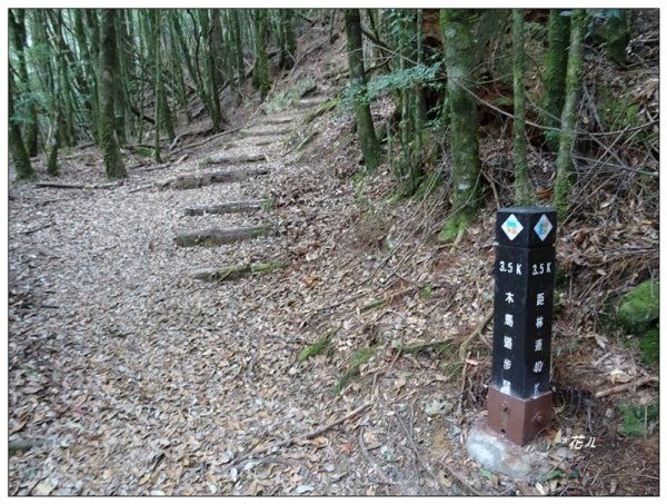 鞍馬山、鞍馬山東北峰(台中/和平)1653601