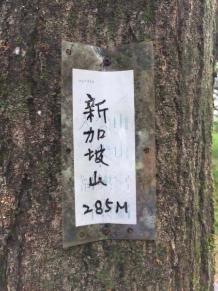 天上山縱走圓通寺483358