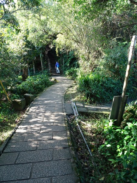 台灣小百岳第13座台北南港-南港山767785