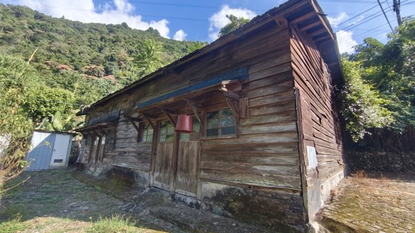 東卯山(谷關七雄No:5)3129237