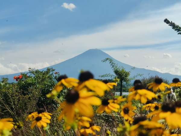 2024登富士山自助旅行2638875