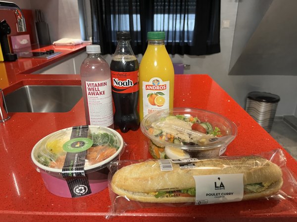 2025_0421 倫敦馬拉松順遊西歐 D3(荷德盧 - 搭火車)2786319