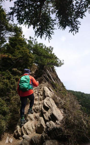 合歡北峰+小溪營地封面