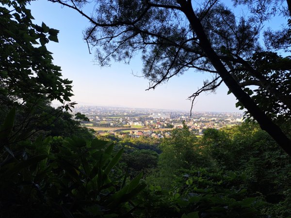 新竹鳳崎落日，司馬庫斯神木群，李崠山步道3131077