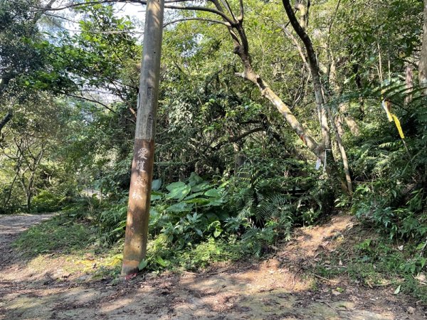 小坑山-猴洞尖-鹿鵠崙-平廣山2567687