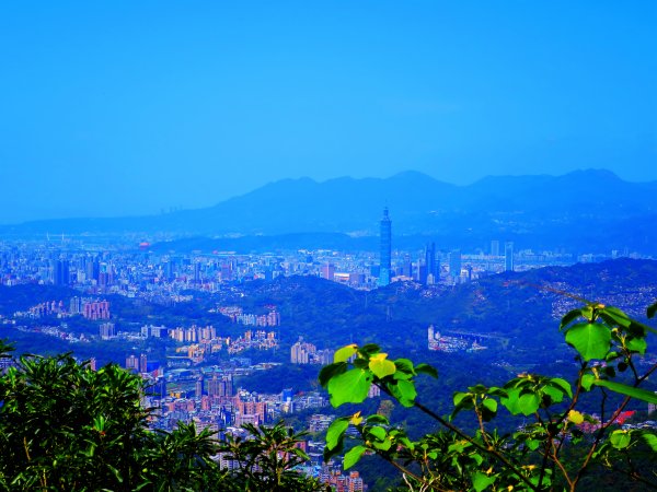 【台北文山】大手牽小手 貓空茶香一起走1734798